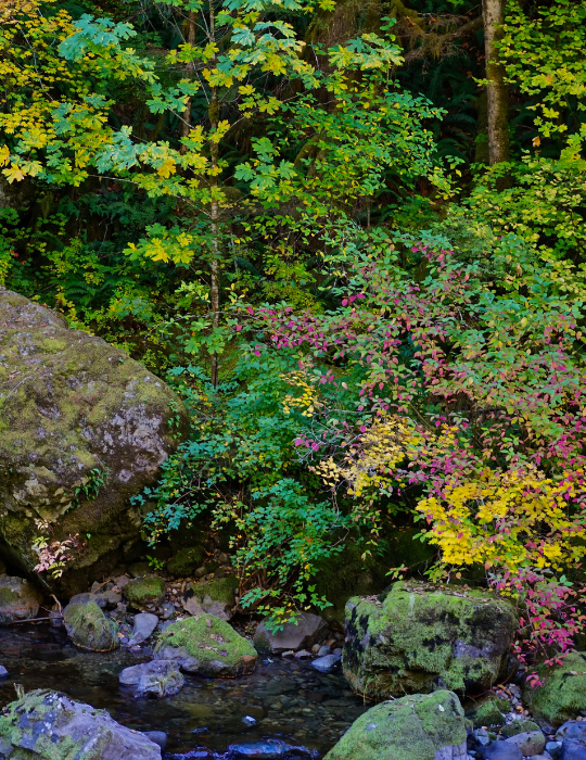 North-LIttle-Rock.webp